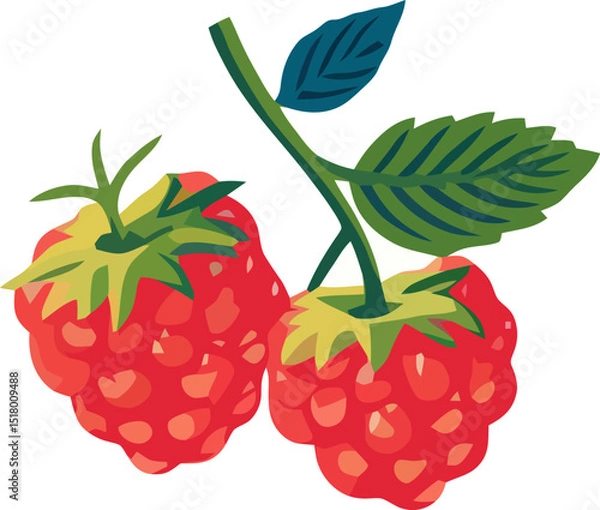 Obraz Ripe raspberries hanging from their green stems against a simple background
