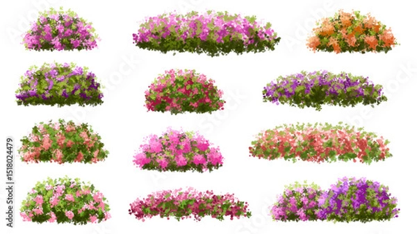 Fototapeta Vertor set of spring blossom tree,bloomimg plants side view for landscape elevation and section,eco environment concept design,watercolor illustration,colorful season
