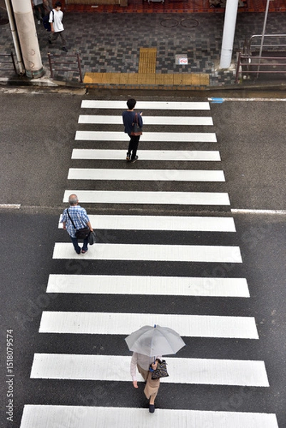 Obraz 小雨の日に横断歩道を渡る人々