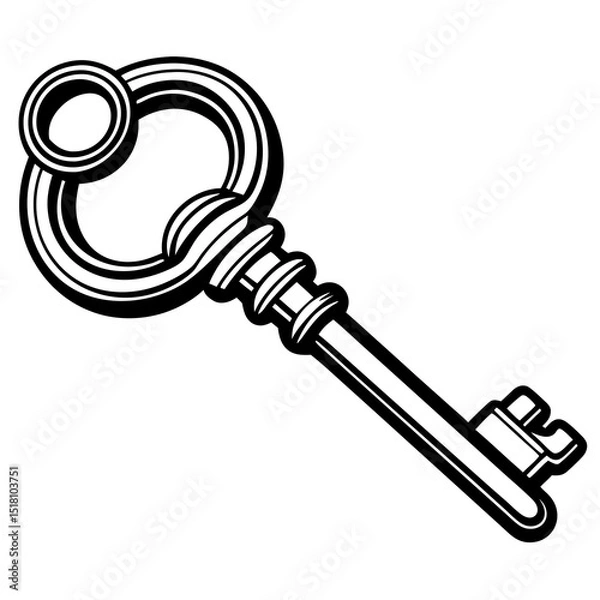 Fototapeta vector key icon