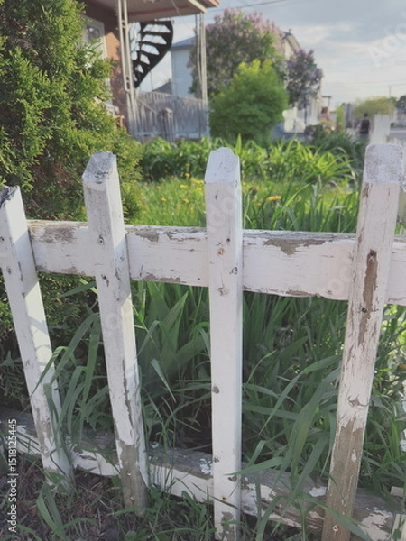 Fototapeta Clôture en bois blanc dans le jardin sur fond d'herbe verte.