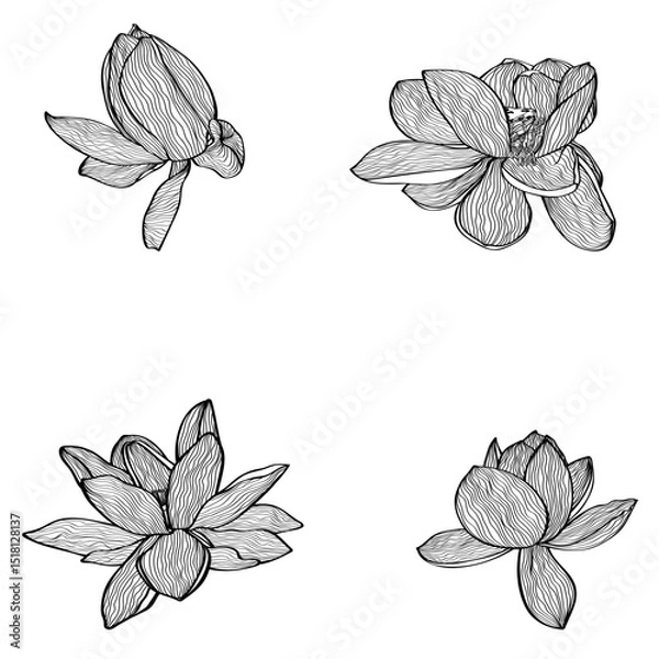 Obraz abstract, art, backdrop, background, beauty, blossom, botanical, card, creative, decor, decoration, decorative, design, drawing, elegant, element, fabric, floral, flower, frame, graphic, hand drawn, i