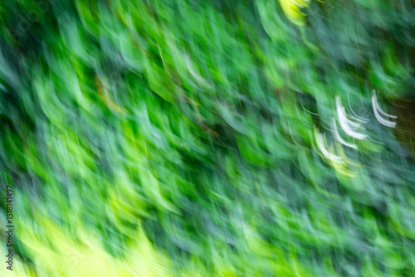 Fototapeta Green landscape abstracted by a circular movement of the camera during exposure. Arc-shaped blurred natural background with green, yellow and white tones. The arches look like laughing mouths.
