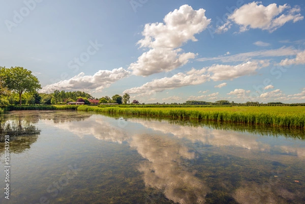 Fototapeta Perfect reflection of white clouds in the blue sky in the mirror-smooth water surface of a small lake. The photo was taken on a slightly cloudy day in the Dutch spring season.