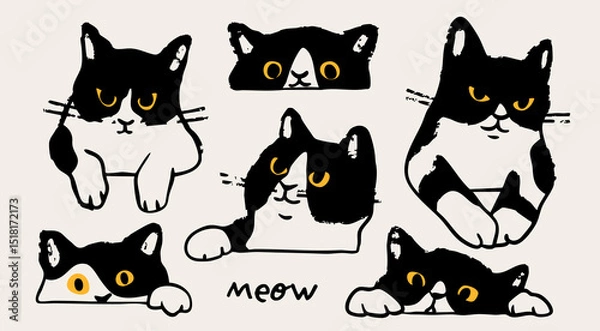 Fototapeta Black and white cat peeking, looking out. Funny character with yellow eyes set. Cute emotional domestic animal. Hiding, hunting, playing concept. Hand drawn Vector illustration. Isolated elements