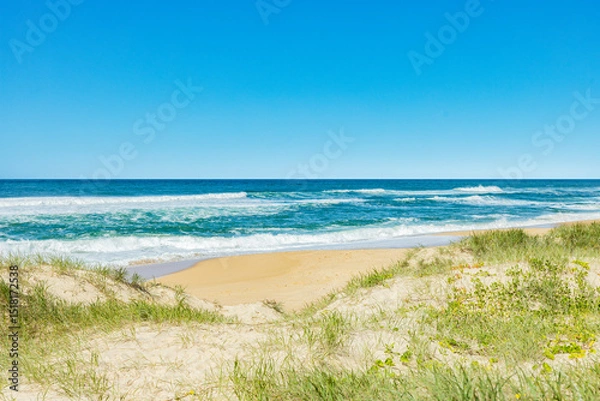 Obraz Düne mit dünengras an einemBlauen Ozean