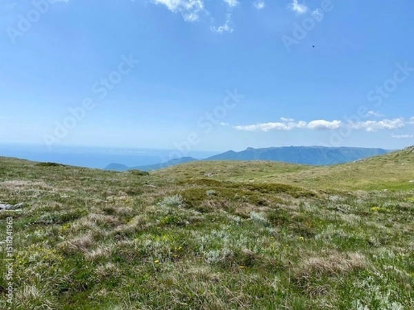 Obraz beautiful spring mountain landscape with blue sky