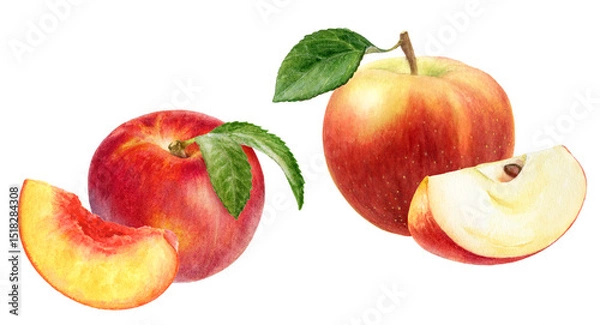 Fototapeta Watercolor Illustration of Red Apples, peach nectarine with Leaf and Slice