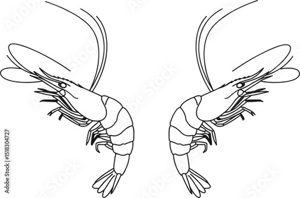 Fototapeta Twin shrimp, symmetrical, vector clean outline