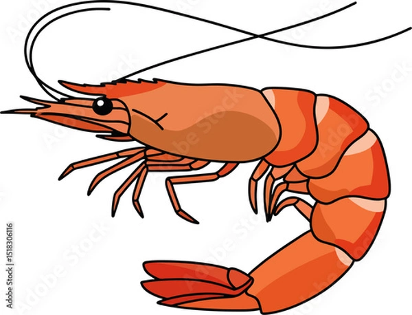 Fototapeta Traditional Shrimp Drawing in Simplified Vector Style