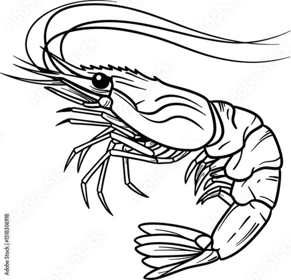 Fototapeta stylized shrimp, bold black lines, trace ready vector.