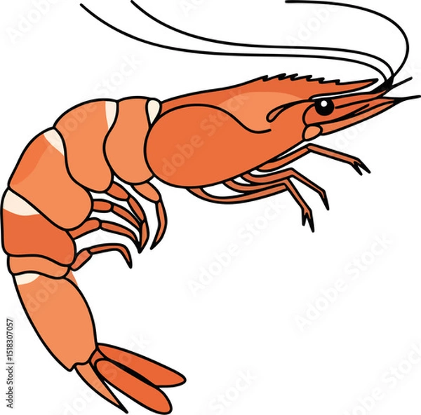 Fototapeta Minimal Shrimp Outline Vector for Graphic Design