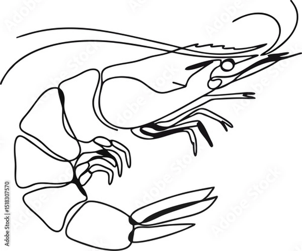 Fototapeta Hand-Drawn Shrimp Vector Illustration in Monoline Style
