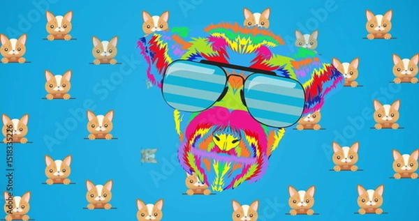 Obraz Image of cats over colorful dog in glasses on blue background