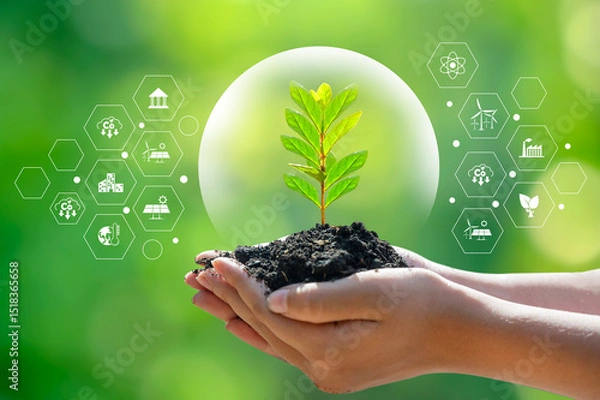 Obraz environment Earth Day In the hands of trees growing seedlings. Bokeh green Background Female hand holding tree on nature field grass Forest conservation concept
