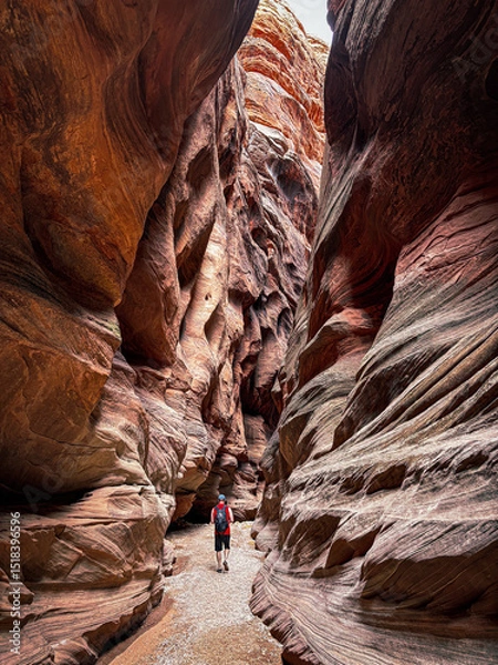 Fototapeta Narrow sandstone walls and dramatic light in Buckskin Gulch, one of the longest slot canyons in the Southwest.  textured rock formations and the stunning depth of this remote Utah slot canyon