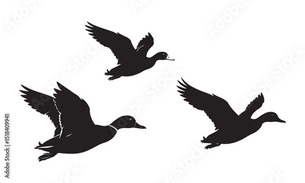 Obraz flying duck Silhouette vector illustration.