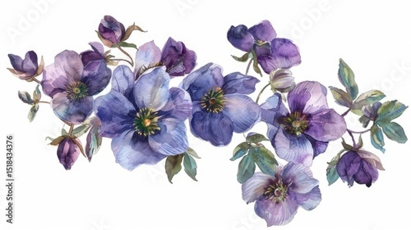 Fototapeta A colorful bunch of beautiful purple flowers on a bright white background