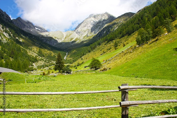 Obraz valle aurina 12