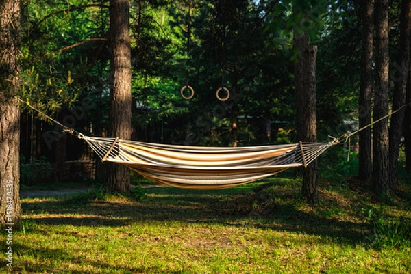 Fototapeta Comfortable hammock hanging between two pine trees in a relaxing summer forest setting, creating a peaceful atmosphere for rest and leisure, smiley face made from hammock and gym rings