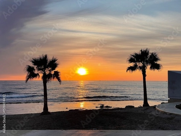 Obraz Sunset on the beach