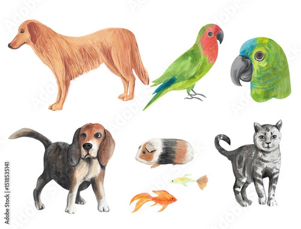 Obraz Sketch pets set. Watercolor ilustration.