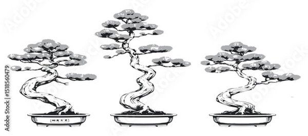 Obraz Eastern White Pine Bonsai Botanical Trace