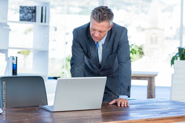 Obraz Middle-aged man leaning forward over conference table reviewing silver laptop in bright office