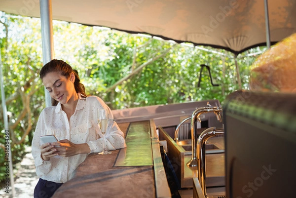 Obraz Sunlight is filtering through foliage onto bar counter under canopy, with champagne flute and taps