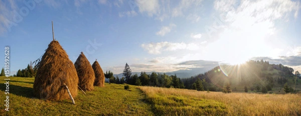 Fototapeta Serene landscape featuring traditional haystacks standing tall on grassy meadow. Scene bathed in warm light of setting sun, with backdrop of rolling hills and distant forest under clear, blue sky.