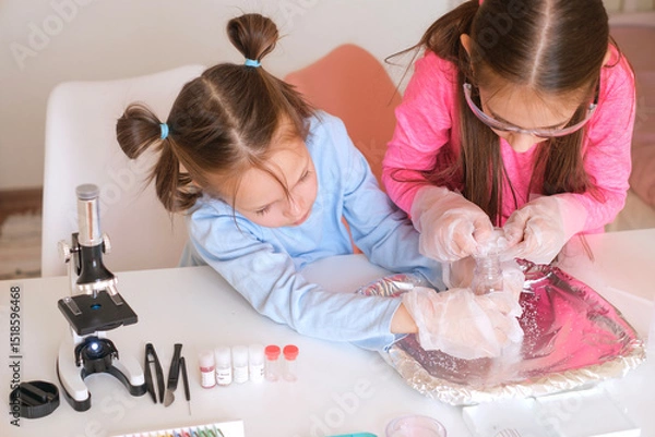 Obraz Homeschooling. The concept of science and education. Little girls are experimenting with test tubes and liquids.