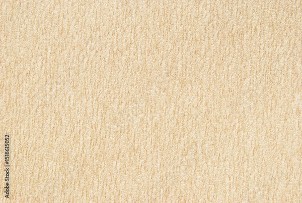Obraz A sheet of brown structure recycled cardboard texture as background