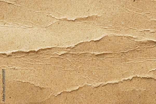 Obraz Brown grunge recycled wrinkled paper with ripped edges