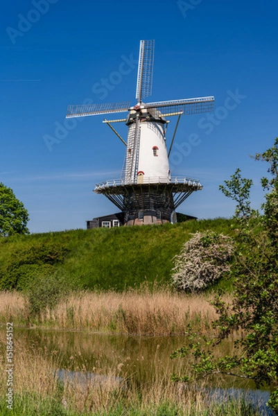 Obraz The historic windmill called The Cow (De Koe) in Veere, province of Zeeland, The Netherlands