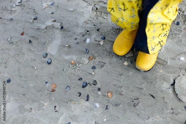 Fototapeta Child in yellow boots walking on a beach covered with seashells and wet sand.