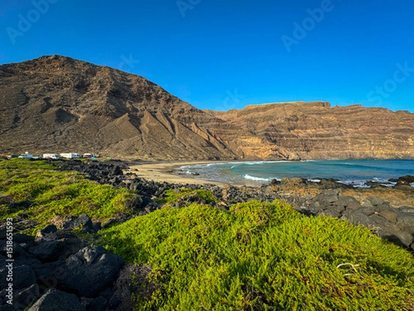 Fototapeta Vibrant green vegetation thrives on dark volcanic rock, contrasting with a sandy beach and clear blue ocean. Towering cliffs frame rugged coastline scene. Unique geological beauty of Lanzarote.