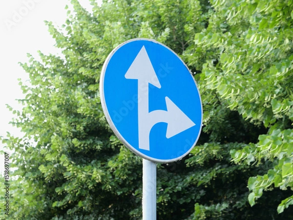 Obraz direction arrow sign
