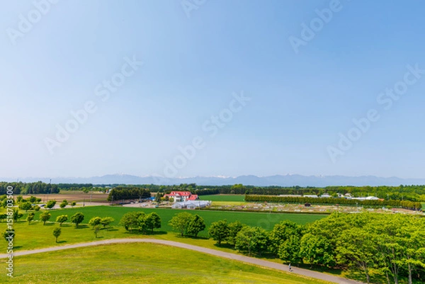 Fototapeta もりの山から見た風景