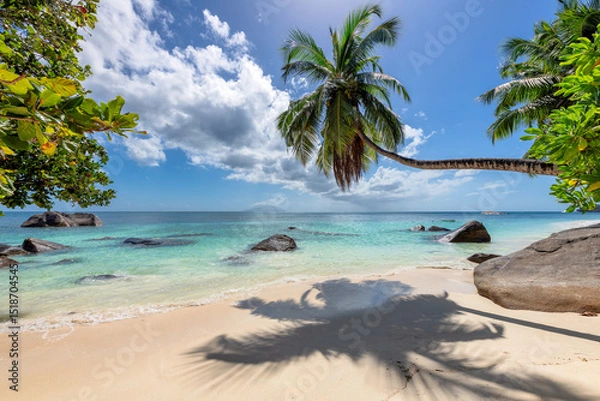 Fototapeta Tropical Beach. Sandy beach with palm and turquoise sea. Summer vacation and tropical beach concept.