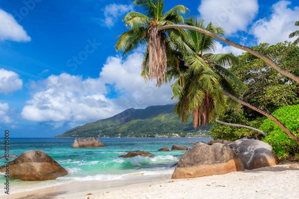 Fototapeta Exotic Sunny beach and coconut palms on Seychelles. Summer vacation and tropical beach concept.