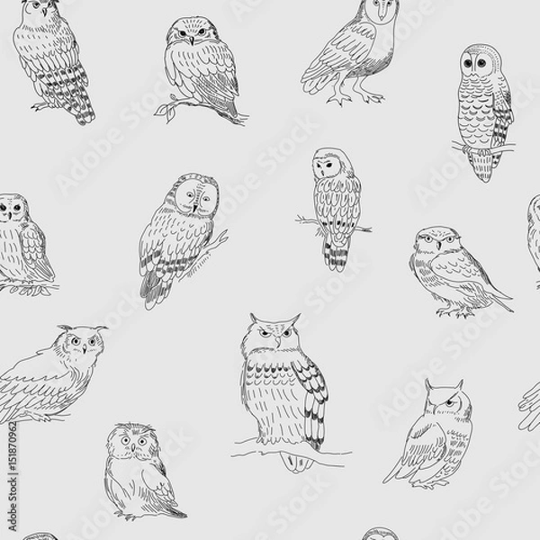 Obraz Stylish seamless pattern with owls on a gray background