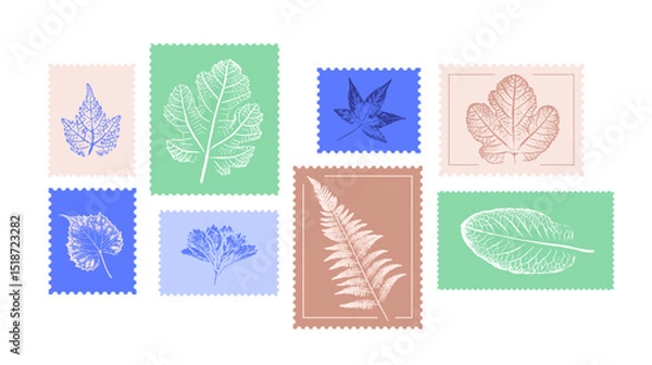 Fototapeta Set of flower stamps botanical prints on various color swatches. Plant and flower art for card design or invitation.