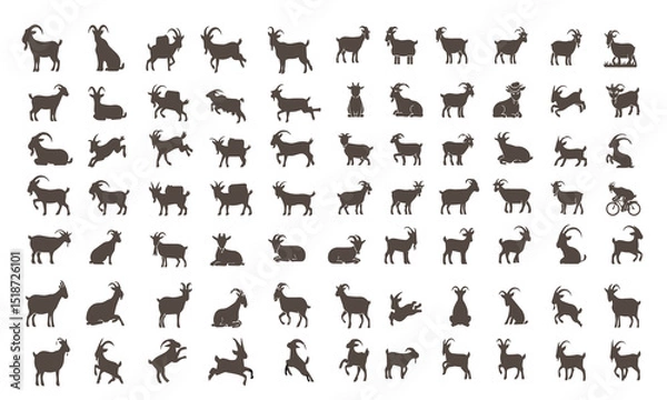 Fototapeta Set of Goat with different position on white background