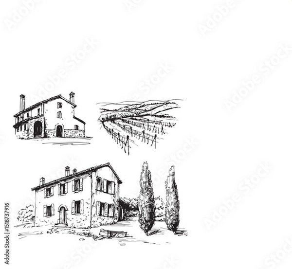 Obraz Vineyards landscapes sketched abstract digital illustration
