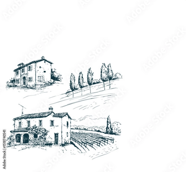 Obraz Vineyards landscapes sketched abstract digital illustration