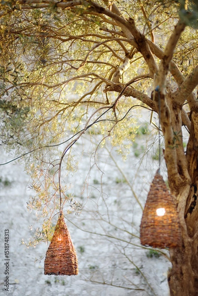 Fototapeta Decorative wicker lamps are hanging on a large tree under the tables of a street restaurant in a small European town