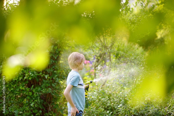 Fototapeta Funny little boy watering plants and playing with garden hose with sprinkler in sunny backyard. Happy child having fun with spray of water.