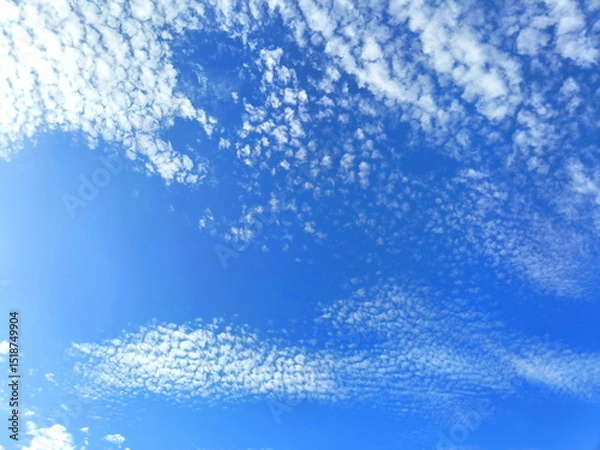 Fototapeta 雨上がりの青空と鱗雲　６月