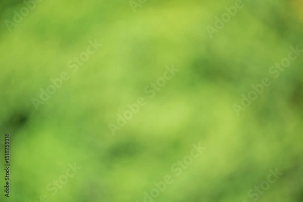 Fototapeta Abstract defocused background, blurred greenery. Blurred bokeh of light and dark green color.