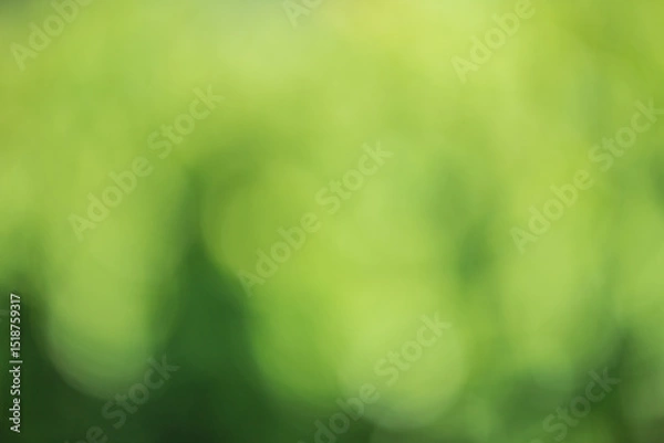 Fototapeta Abstract defocused green background. Blurred bokeh of light and dark green.